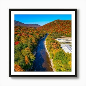 Fall Foliage In New Hampshire 1 Póster