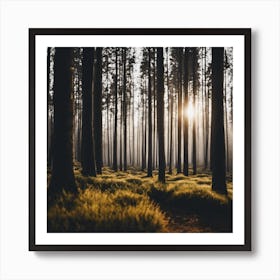 Sunrise In The Forest Art Print