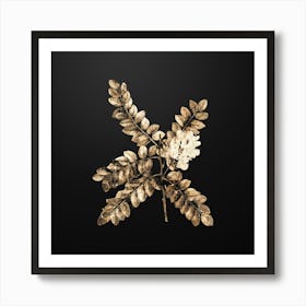 Gold Botanical Clammy Locust on Wrought Iron Black n.2733 Art Print