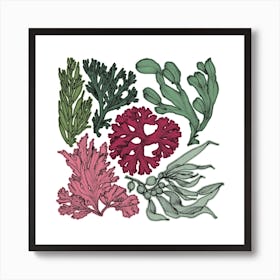 Retro Botanical Seaweed Square Art Print