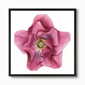 Star-Shaped Flower Watercolor Art Print