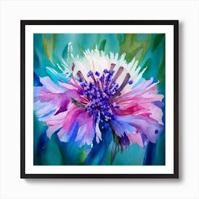 Colorful Cornflower Poster