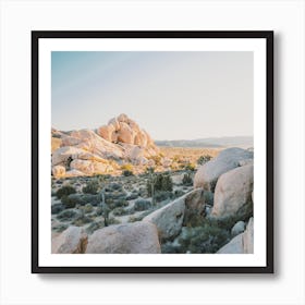 Desert Boulder Field Art Print