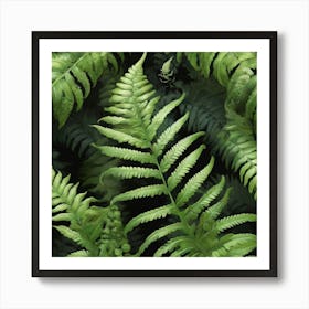 Green fern 9 Art Print