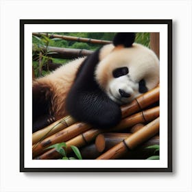 Peaceful Panda Slumber Art Print