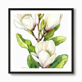 Magnolia Flower Watercolor Painting Art Print