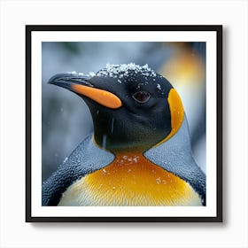 King Penguin 13 Art Print