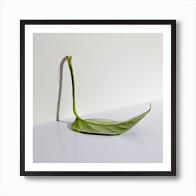 Leaf. Art Print
