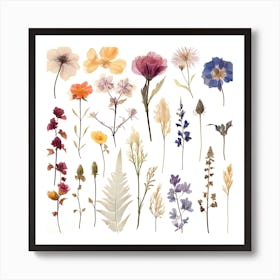 Dried Wild Flowers 20 Art Print