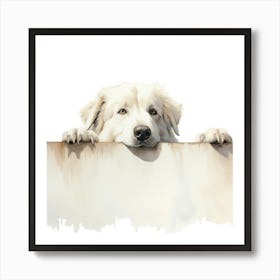 White Shepherd Dog Art Print