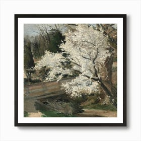 Blossoming Cherry Tree Art Print