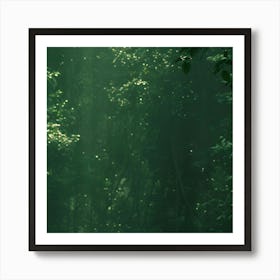 Girl In The Forest 1 Art Print