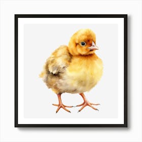 Chicken 7 Art Print