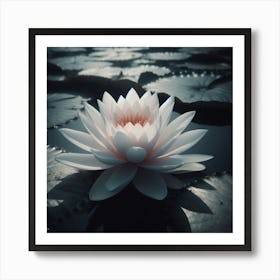 Water Lily Art Print