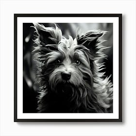 Black And White Dog Portrait 5 Art Print