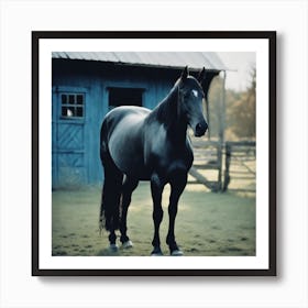 Black Horse Standing In Front Of Barn Art Print