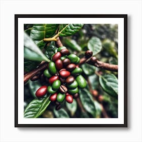 Coffee Beans On A Tree 30 Art Print