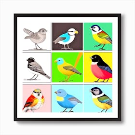 Colorful Birds 5 Art Print