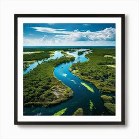 Everglades National Park Florida Art Print