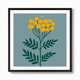 Common Tansy Bloom Square Art Print