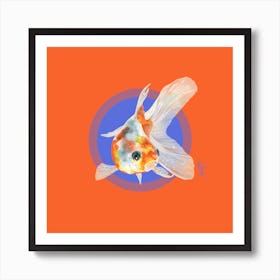 Koi Carp Art Print