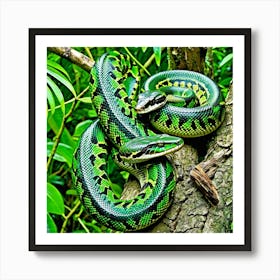 Emerald Tree Boa Snake Reptile Green Arboreal Tropical Rainforest Amazon South America Co (5) Art Print