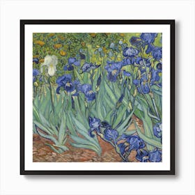 Van Gogh ,Irises Art Print