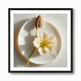 Flower On A Plate Art Print