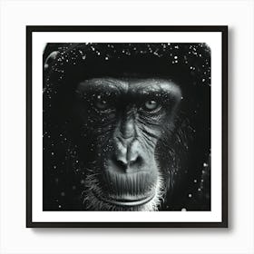 Chimpanzee Closeup Stippling Style Art Print