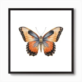 Butterfly 50 Art Print