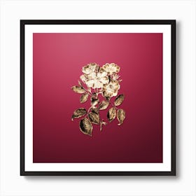 Gold Botanical Rose Clare Flower on Viva Magenta n.3873 Art Print