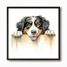 Bernese Mountain Dog 3 Poster