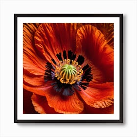 Ethereal poppy flower 6 Art Print