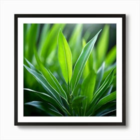 Ecology Plant Green Nature Garden Flora Fresh Leaf Summer Natural Environment Spring Gra (4) Art Print