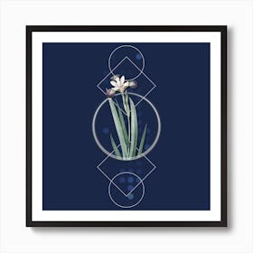 Vintage Harlequin Blueflag Botanical with Geometric Line Motif and Dot Pattern n.0321 Art Print