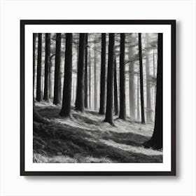 Black And White Forest Art Print