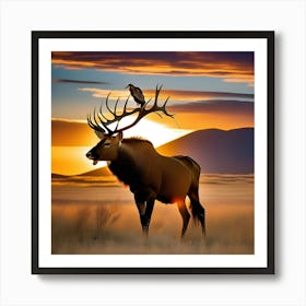 Elk At Sunset Art Print