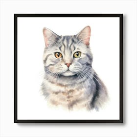 American Shorthair Cat Portrait 2 Art Print