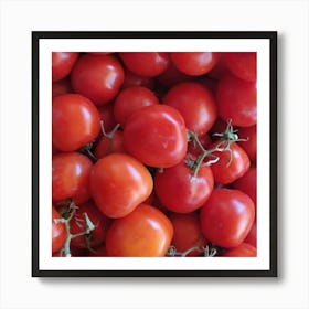 Ripe Tomatoes Art Print