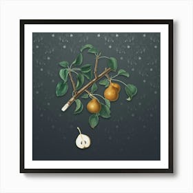 Vintage Seckel Pear Botanical on Slate Gray Pattern n.0169 Art Print