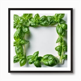 Frame Of Fresh Basil Leaves Art Print