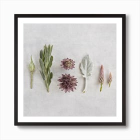 Fynbos Garden Square Art Print