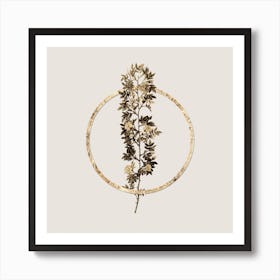 Gold Ring Cuspidate Rose Glitter Botanical Illustration n.0321 Art Print