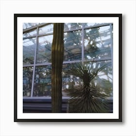 Cactus 4 Art Print