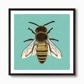 Bee Illustration Art Print