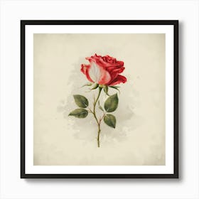 Single Rose 3 Art Print