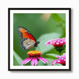 Butterfly On A Flower 9 Art Print