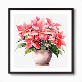 Poinsettia 10 Art Print