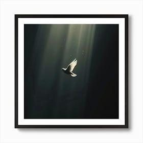 Dove In The Light Art Print