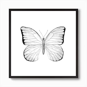 Schmetterling Poster Weiß Minimalistisch für Wohnzimmer